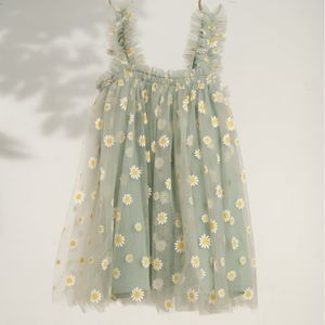 Alex & Nova dress 2T